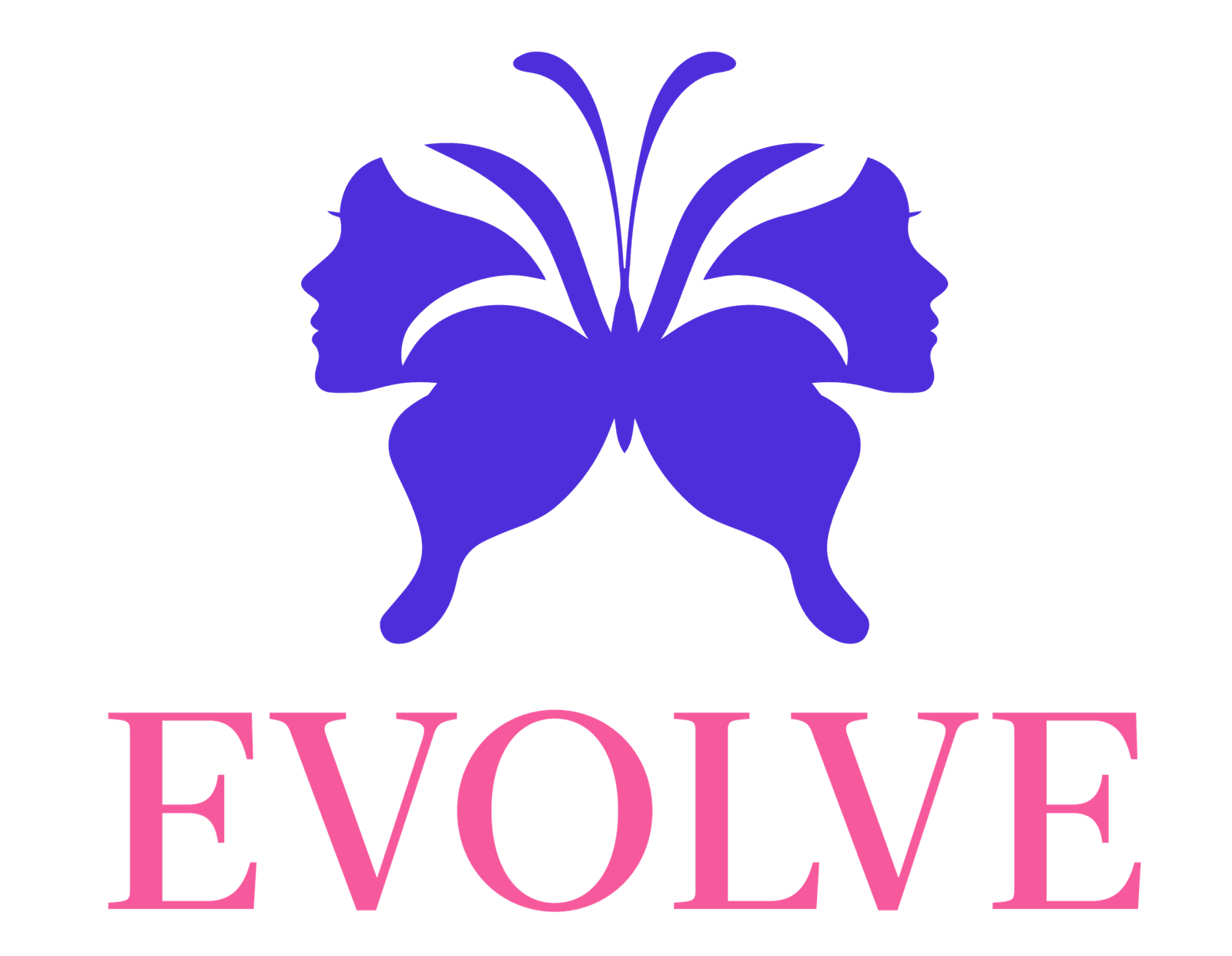 Evolve Networking Events Logo