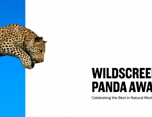 Bristol film, ‘My Garden of a Thousand Bees’, leads the way at 2022 Wildscreen Panda Awards
