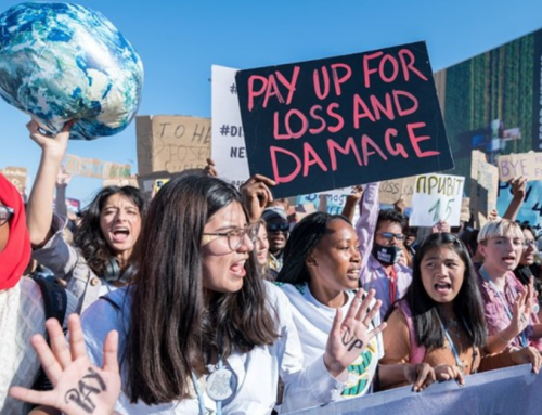 COP27: what we’ve learned
