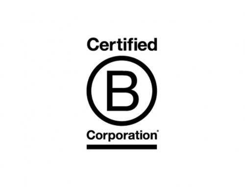 Getting (and keeping) B Corp status – is it worth it?
